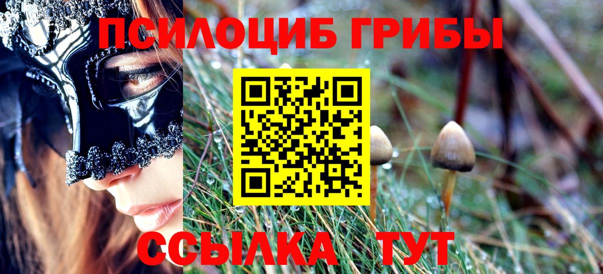 как найти наркотики  Галлюциногенные грибы мухоморы  Вход с VPN  Новосибирск 