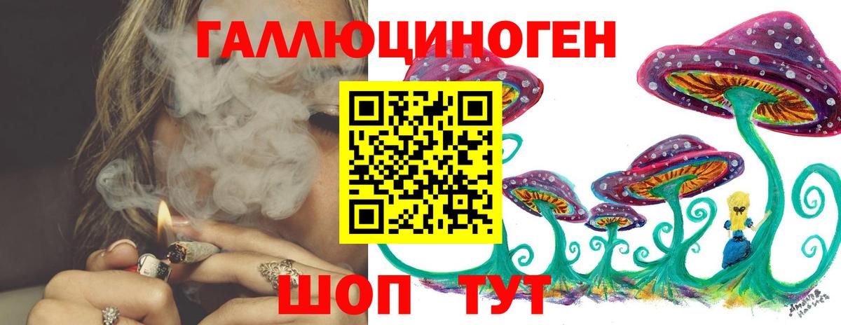 Псилоцибиновые грибы GOLDEN TEACHER Новосибирск